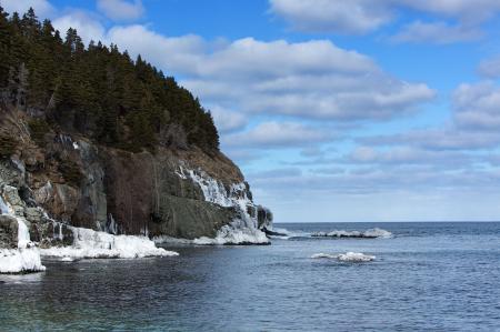 Bay with trees in winter