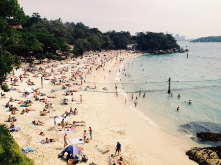 Beach in Sydney