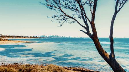 Beach during Daylight