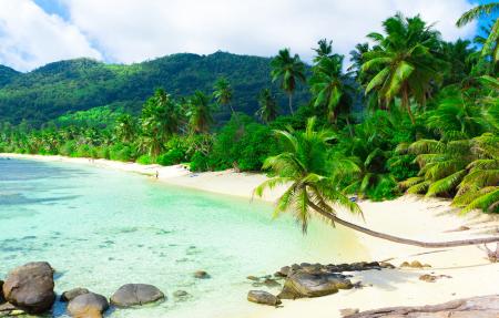 Beach in Vietnam