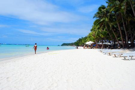 Beach Lounger on Shore With Coconut Trees