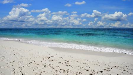 Beach Scene