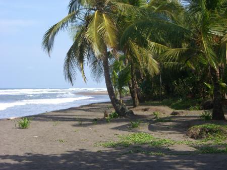 Beach View