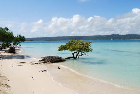 Beautiful Beach