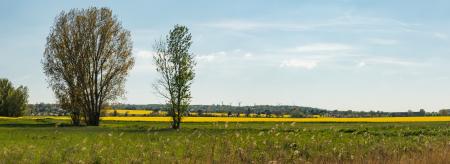 Beautiful Fields