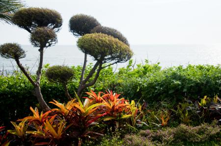 Beautiful gardens by the sea