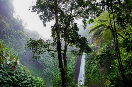 Beautiful Waterfall