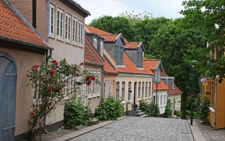 Beige and Brown Painted Houses