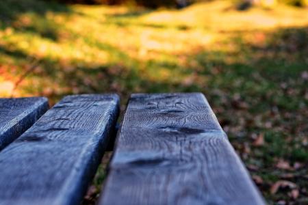 Bench