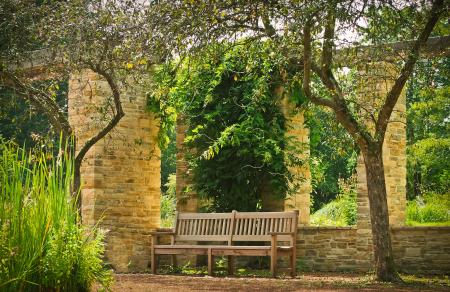 Bench Between the Two Trees