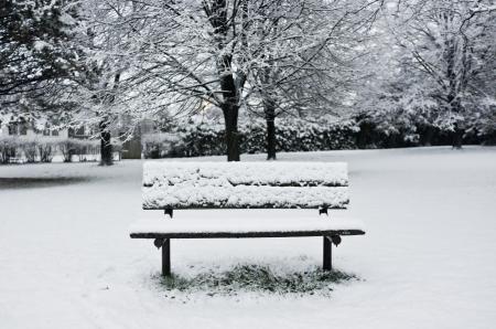 bench in snow