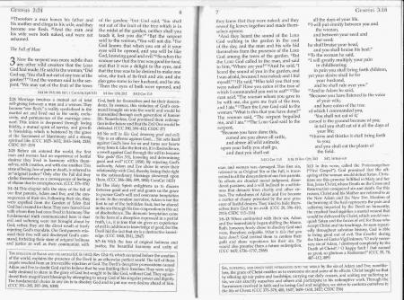 Genesis Bible Page