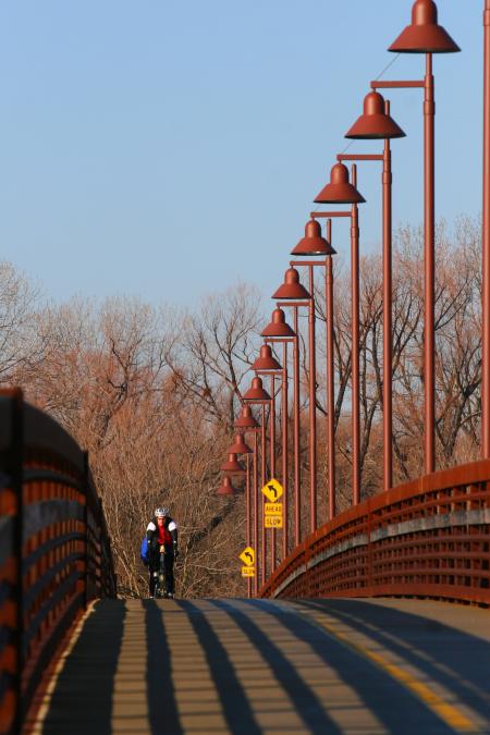 Bicycle Rider