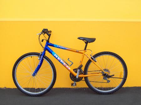 Bike - Repco Challenger
