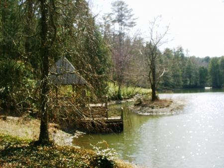 Biltmore estate bass pond
