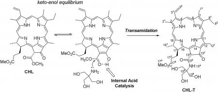 Biodesk Molecules v2