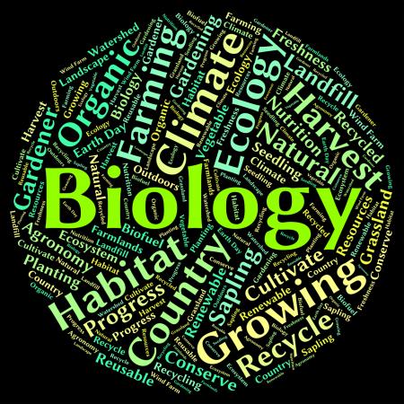 Biology Word Represents Animal Kingdom And Biological