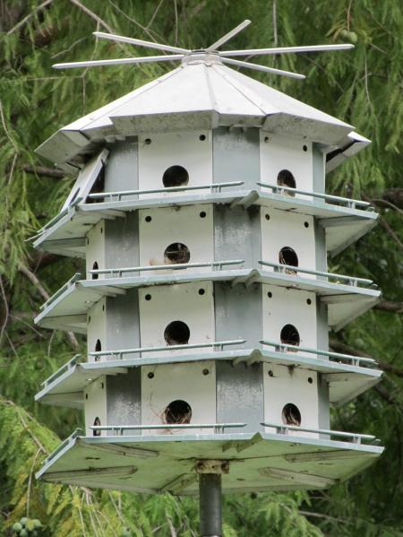 Bird House