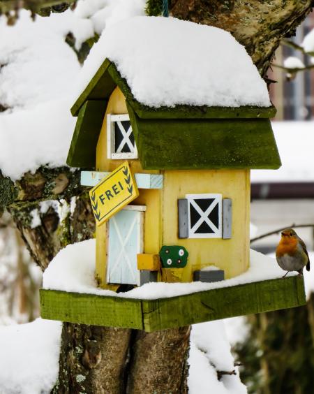 Bird House