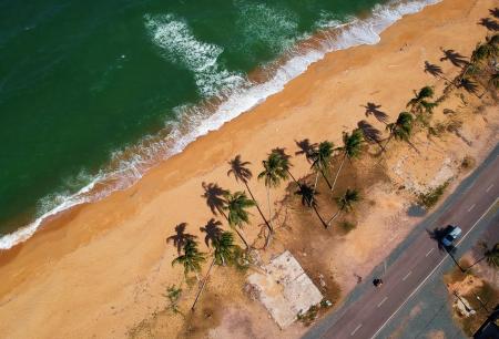 Bird's Eye View of Seashore