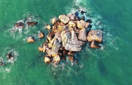 Bird's Eye View of the Ocean