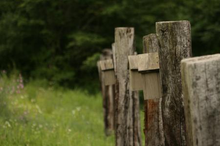 BirdHouses