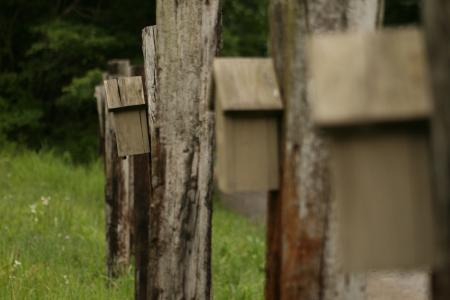 BirdHouses