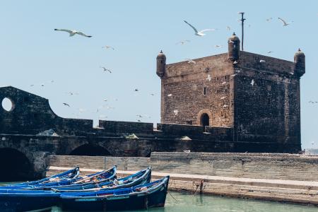 Birds Flying over Water