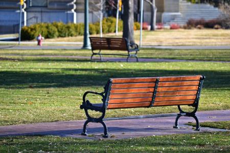 Black and Brown Bench Near Grass Field