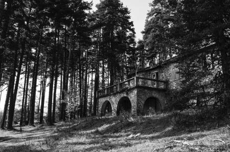 Black and White Photography of a Bricked Wall House