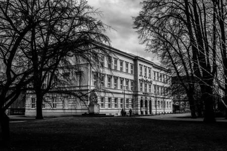 Black and White Picture of Building Surrounded by Trees