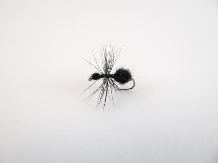 Black Ant dry fly