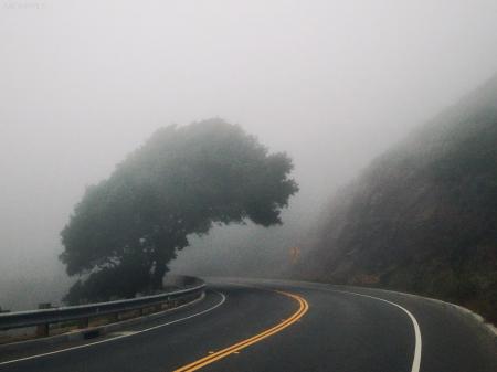 Black Asphalt Road Near Mountain and Green Leafed Tree ]