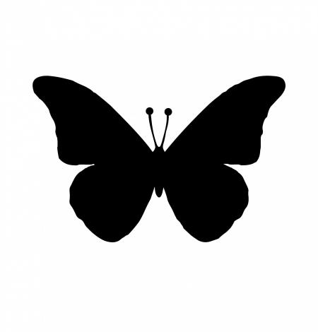 Black butterfly