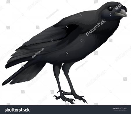 Black Crow
