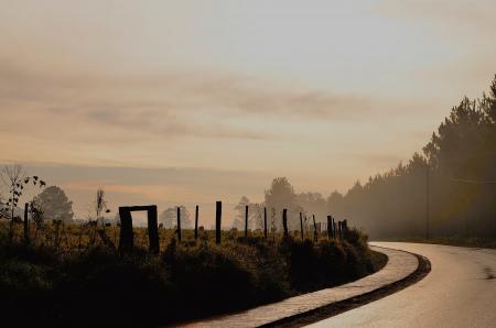 Black Curve Asphalt Road Beside Green Field