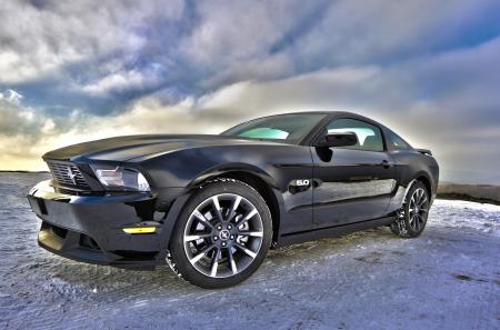 Black Dodge Viper on Gray Concrete Floor