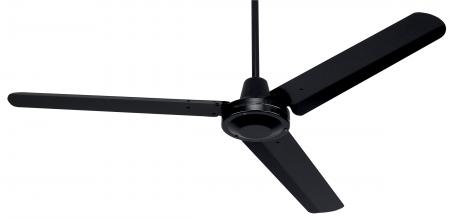 Black Fan