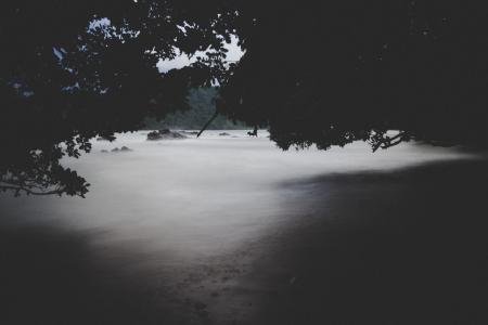 Black Forest Above of Body of Water Illustration