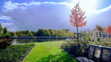 Black Metal Bench on Grassy Garden