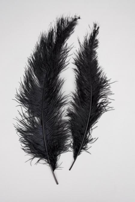 Feather