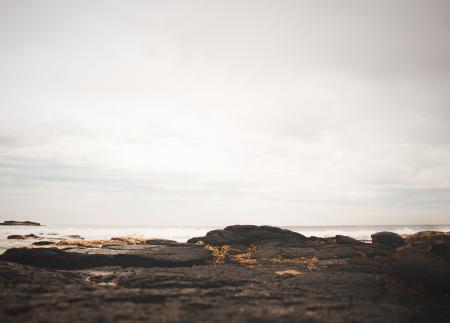 Black Soil and Body of Water