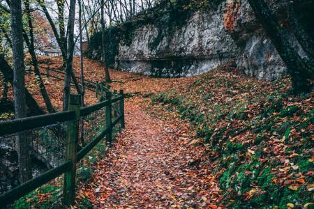 Black Steel Fence With Brown Leaves Under