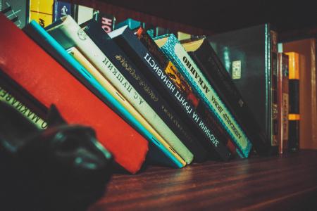 Black White Book Set in Brown Wooden Book Shelf