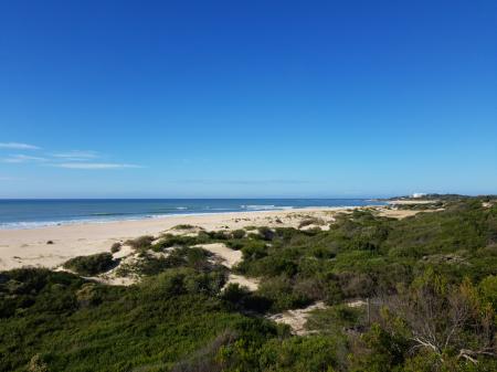 Blick aus Strandhütte