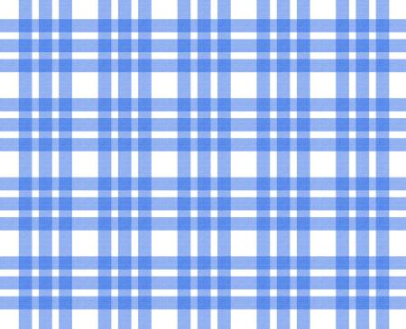 Blue and white tablecloth pattern