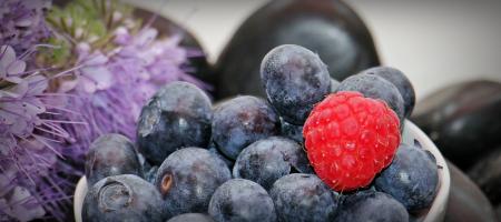 Blue Berries