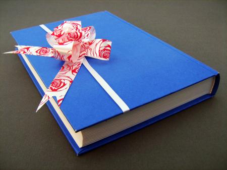 Blue book with bow