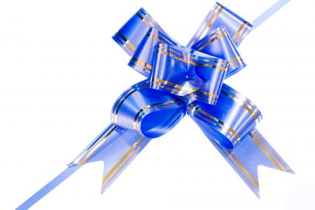 Blue bow