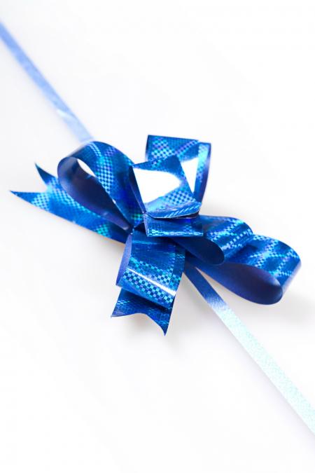 Blue bow